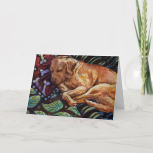 Chamois Sleeps Kaart