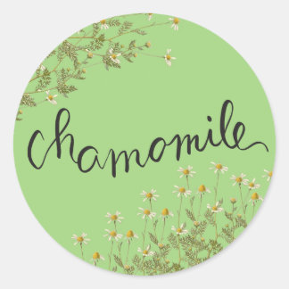 Chamomile bloemen ronde sticker