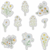 Chamomile Flowers Sticker (Voorkant)