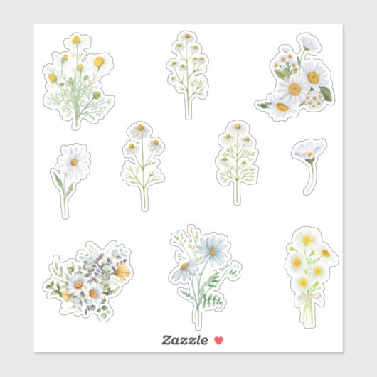 Chamomile Flowers Sticker (Vel)
