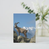 Chamonix Briefkaart (Staand voorkant)