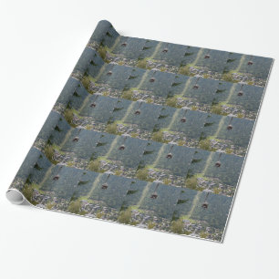 Chamonix - Frankrijk Cadeaupapier