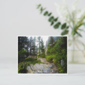 Chamonix - Mt. Blanc, Alpine Landscape, Frankrijk Briefkaart (Staand voorkant)