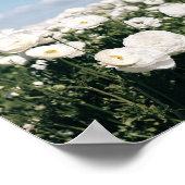 Champ blanc de fleurs - impression d'affiche (Coin)