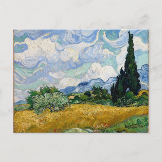 Champ blé avec carte postale Cypress (Devant)