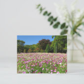 Champ Cosmos : Carte postale (Debout devant)