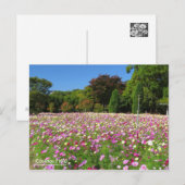 Champ Cosmos : Carte postale (Devant / Derrière)