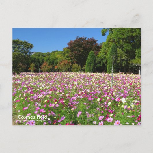 Champ Cosmos : Carte postale (Devant)