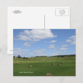 Champ dans la carte postale PEI (Devant / Derrière)