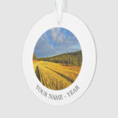 Champ de blé après la récolte 2 (devant)