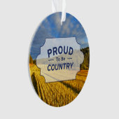 Champ de blé après récolte (devant)