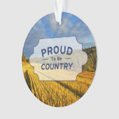 Champ de blé après récolte (devant)