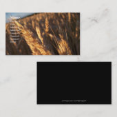 Champ de blé - cartes de visite (Devant / Derrière)