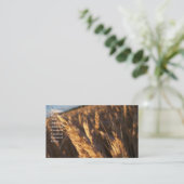 Champ de blé - cartes de visite (Debout devant)