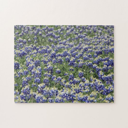 Champ de Bluebonnet de puzzle (Horizontal)
