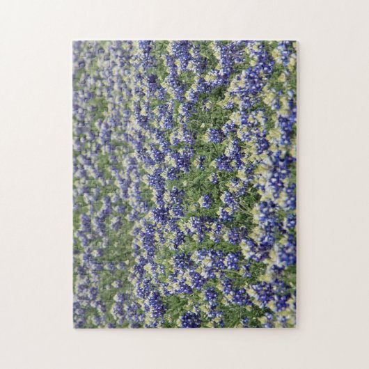 Champ de Bluebonnet de puzzle (Vertical)