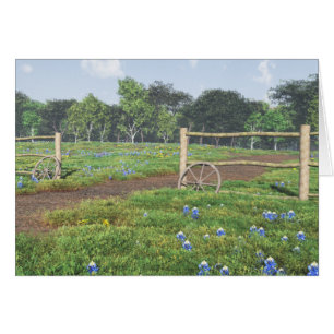 Champ de Bluebonnets