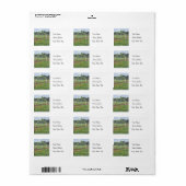 Champ de Bluebonnets - Étiquette de adresse (Feuille entière)