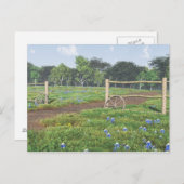 Champ de carte postale Bluebonnets (Devant / Derrière)