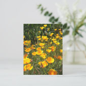 Champ de cartes postales de pavots (Debout devant)