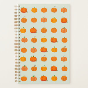 Champ de citrouilles