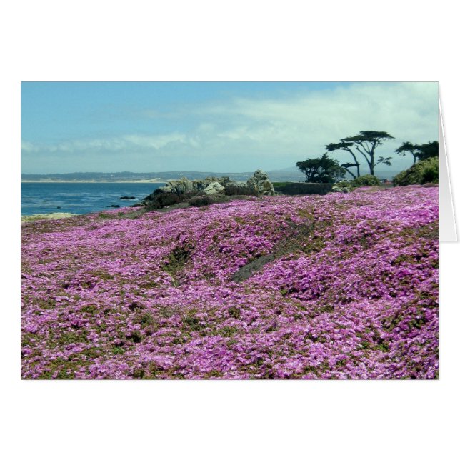 "Champ de fleurs" (Devant Horizontal)