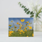 Champ de Fleurs Jaunes Carte postale (Debout devant)