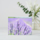 Champ de la carte postale du prêteur (Debout devant)