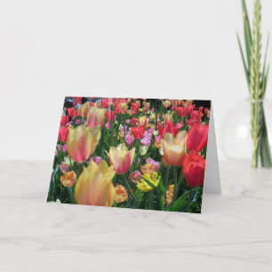 Champ de la carte Tulips