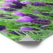 Champ de lavande 26"w x 8"h Poster (Coin)