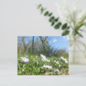 Champ de marais avec Sky bleu do-it-yourself carte (Debout devant)