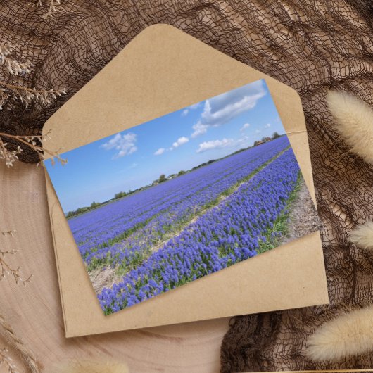 Champ de papier Hyacinths