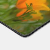 Champ de pavot de Californie (Coin)