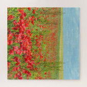 Champ De Puzzle De Pépites (Horizontal)