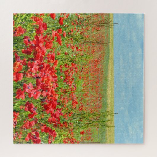 Champ De Puzzle De Pépites (Horizontal)