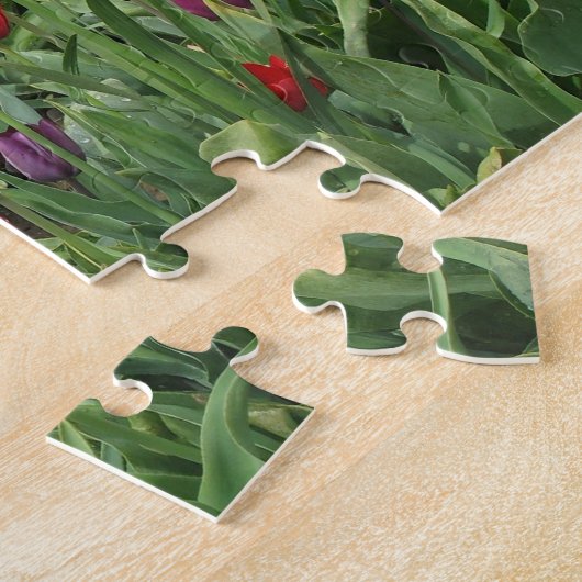 Champ de puzzle de tulipes (Côté)