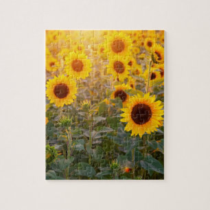 CHAMP DE SOUFFRE 8X10 JIGSAW PUZZLE