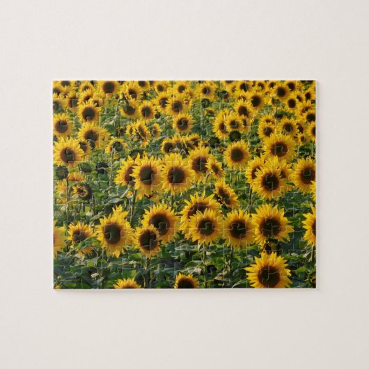 Champ de tournesol Puzzle (Horizontal)