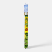 Champ de tournesols (Côté gauche)