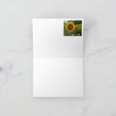 Champ de tournesols (Intérieur)