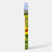 Champ de tournesols (Côté gauche)