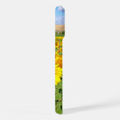 Champ de tournesols (Côté droit)