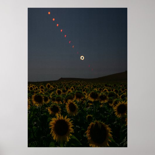Champ de tournesols célestes - Impression d'art (Devant)