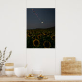 Champ de tournesols célestes - Impression d'art (Cuisine)