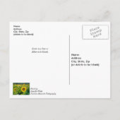 Champ de Tournesols Dorés Carte de Vœux de Bon rét (Dos)