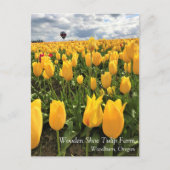 Champ de tulipe jaune avec carte postale à ballon (Devant)