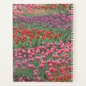 Champ De Tulipes (Dos)