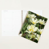 Champ de tulipes blanches (Devant avec enveloppe)
