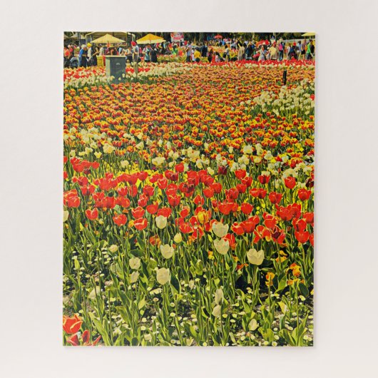 Champ de tulipes puzzle (Vertical)