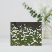 Champ do-it-yourself carte postale (Debout devant)